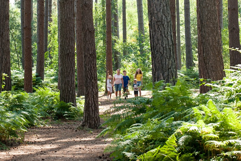 Black Park  Buckinghamshire Country Parks